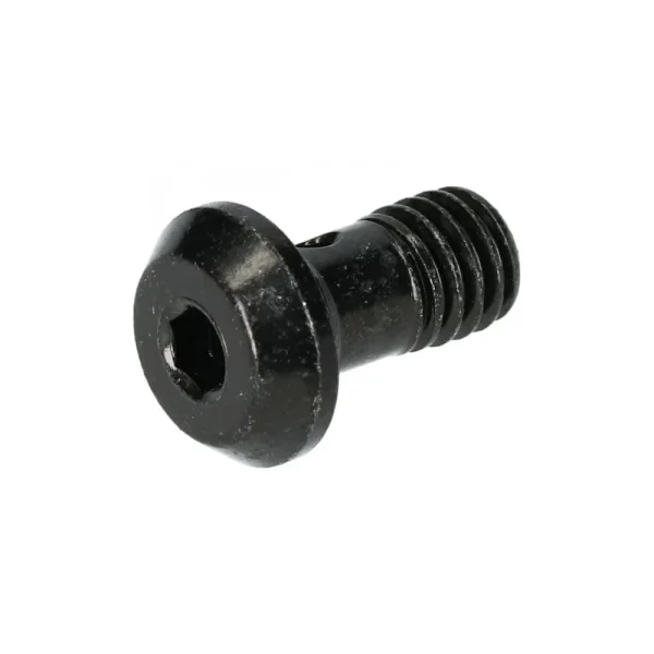 SHIMANO DEORE XT [BR-M8100] TÁRCSAFÉK BANJO CSAVAR Y2RT05000